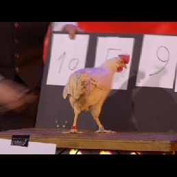 Jo and Chicken Curry: Children's show