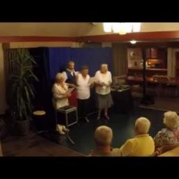 Seniorenshow 1 - Michel van Grinsven
