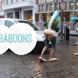 The BABAboons