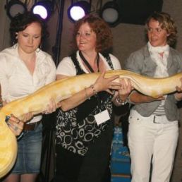 Slangen show/ buikdanseres met slang