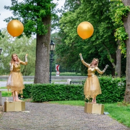 Gouden Kerstact! - Golden Christmasact!