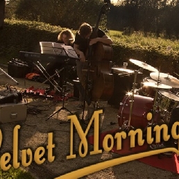 Velvet Morning Band