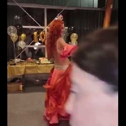 Belly dance show wedding or party