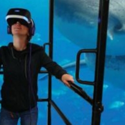 Shark Attack VR