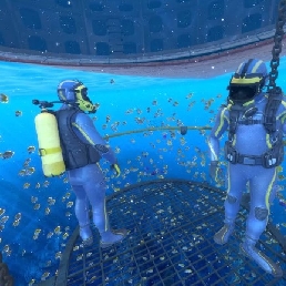 Virtual Reality Underwater Experience
