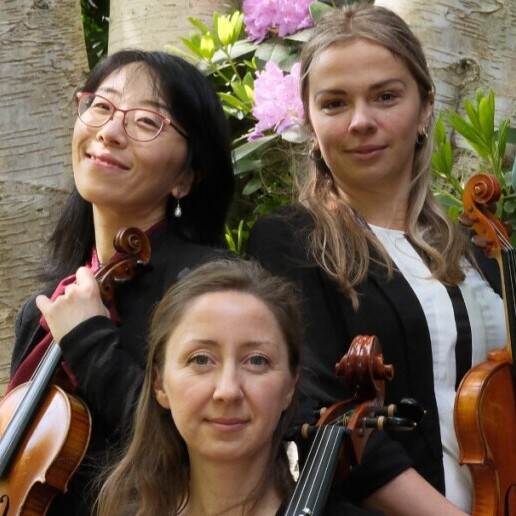 Violinist Voorburg  (NL) 