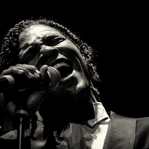 Singer (male) Dordrecht  (NL) 