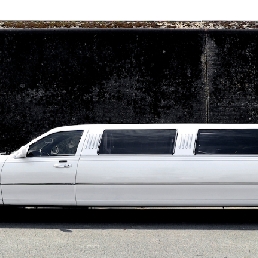 Lincoln Town Car Limousine White