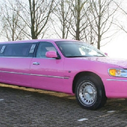 Roze Lincoln Limousine