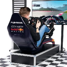 F1 race simulator
