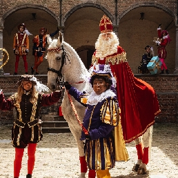 The real horse of Sinterklaas