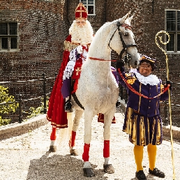Het echte paard van Sinterklaas