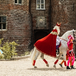 The real horse of Sinterklaas