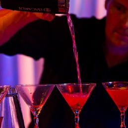 Cocktail Bar + Bartender + 100 Cocktails