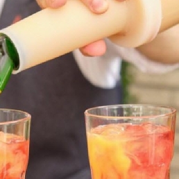 Zomerse Cocktailbar + 100 Cocktails