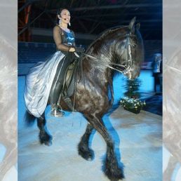 Event show Nijkerk  (NL) Singing on Horse