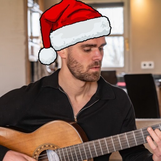 Guitarist Veldhoven  (NL) 