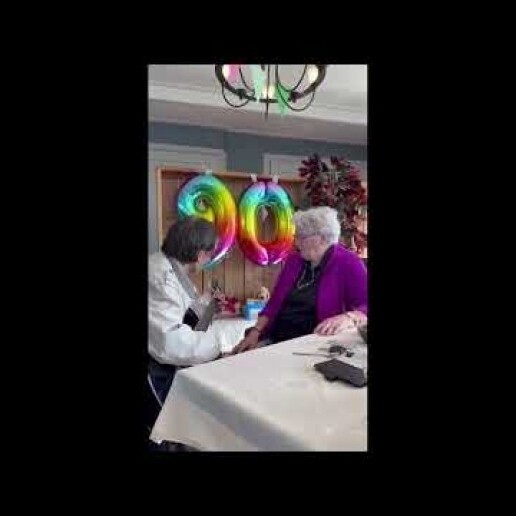 Singer (male) Grootegast  (NL) 