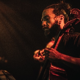 Bordon Cello