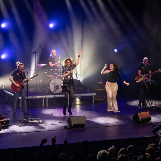 Band Nieuwegein  (NL) 