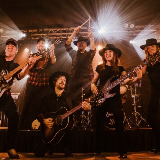 Band Dedemsvaart  (NL) 