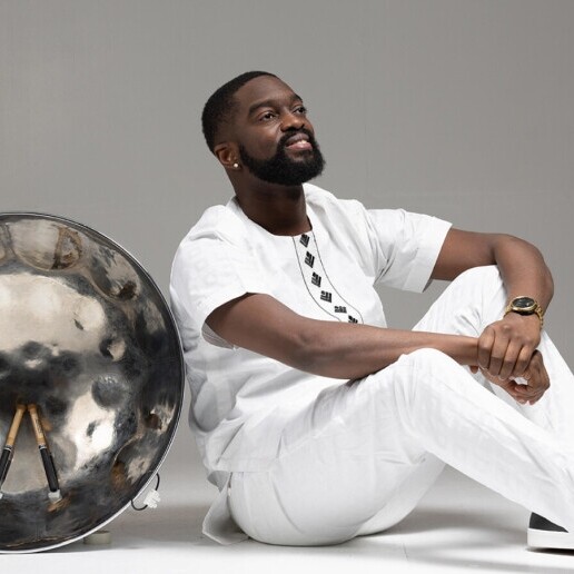 Percussionist Amsterdam  (NL) 