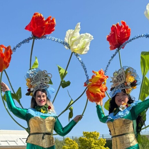 Actor Waddinxveen  (NL) 