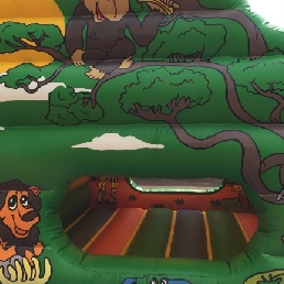 Bouncy ball pool jungle pool