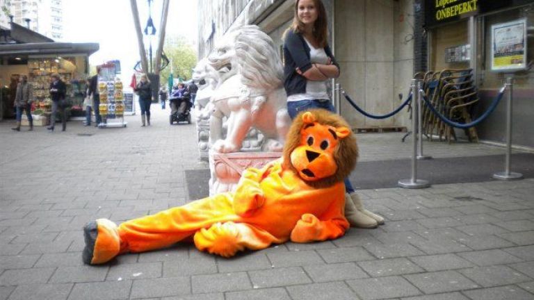 The Orange Lion