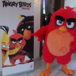 Red. (Angry Bird)