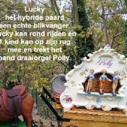 Draaiorgel: Polly. Nederland, België