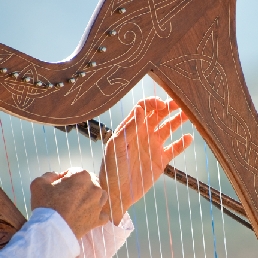 Harpist Naarden  (NL) Harpist
