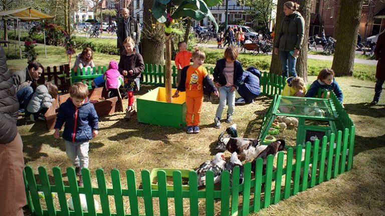 Petting zoo on location