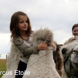 Actor Den Haag  (NL) Camel Rides