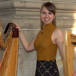 Harp achtergrondmuziek Sari van Brug