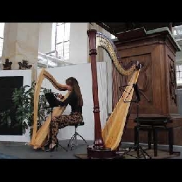 Harp achtergrondmuziek Sari van Brug