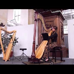 Harp background music Sari van Brug