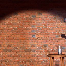 Stand-up comedy show and/or clinic