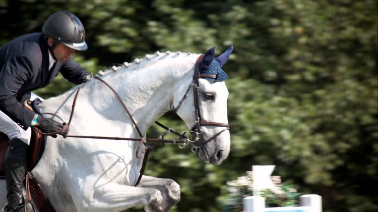 Paardenshow