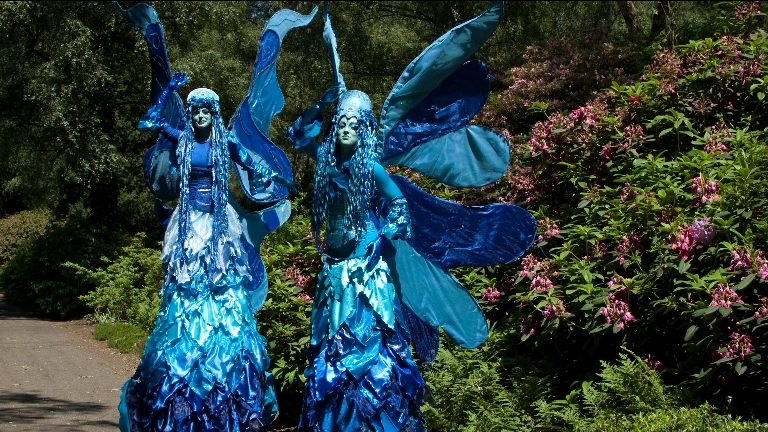 Blue Elves Trio