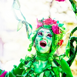 Green Fairy and the Flower Geisha's