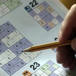 Levend Sudoku