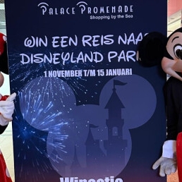 Character/Mascott Diemen  (NL) Mascot Hire Mickey and Minnie