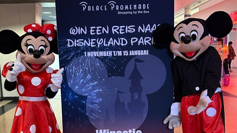 Mascotte inhuren Mickey en Minnie