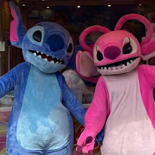 Character/Mascott Diemen  (NL) 