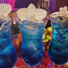 Cocktails Workshop voor je feest