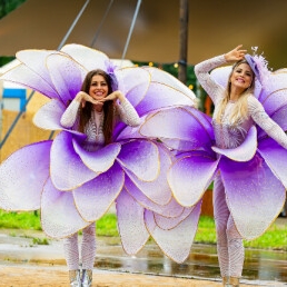 Animatie Rotterdam  (NL) Superbloemen Meisjes