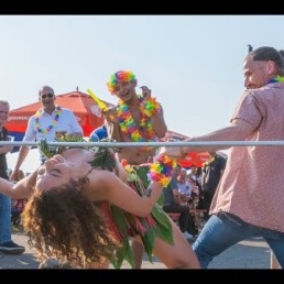 Tropical Show with Hawaiian Dancer