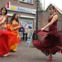 Bellydance - Flamenco act