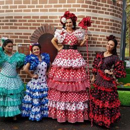 Flamenco Spaanse steltenlopers